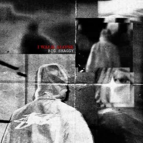 دانلود آهنگ بیگ شگی به نام آی واک الون